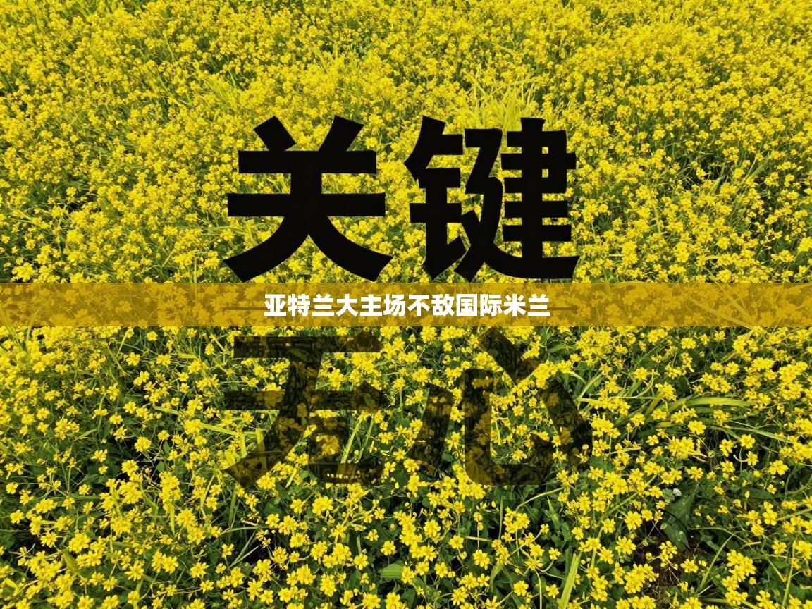 亚特兰大主场不敌国际米兰  第1张