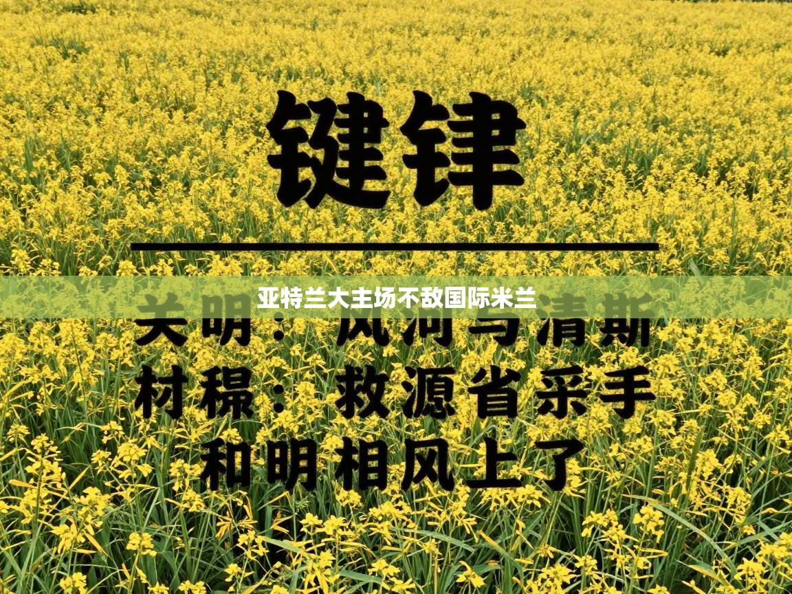 亚特兰大主场不敌国际米兰  第2张